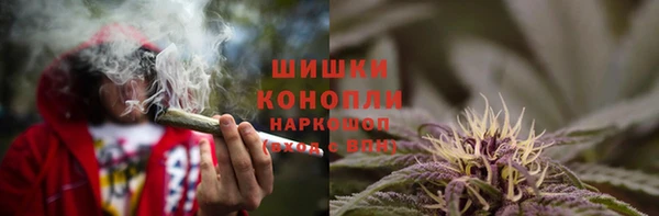 альфа пвп Медвежьегорск