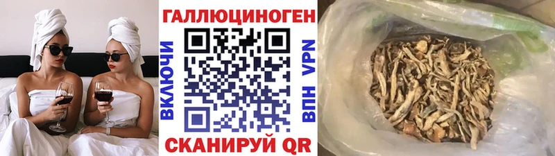 Купить где Нижние Серги Псилоцибиновые грибы мицелий
